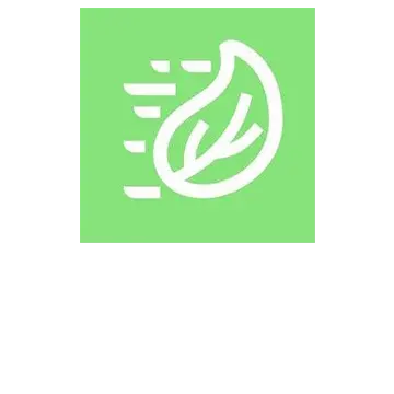 Swift Leaf Digital Solutions